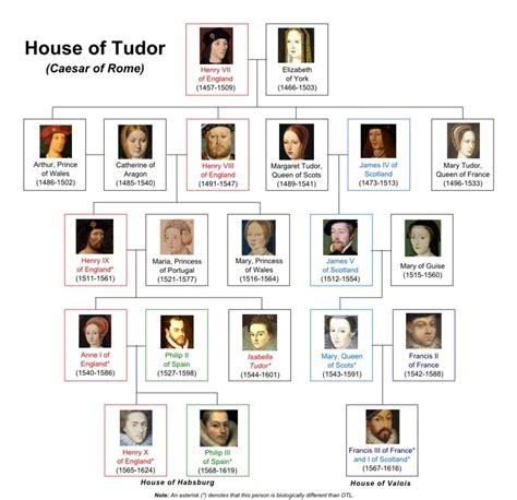 the house of tudor facts